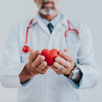 Portrait of a doctor holding a heart in his hands